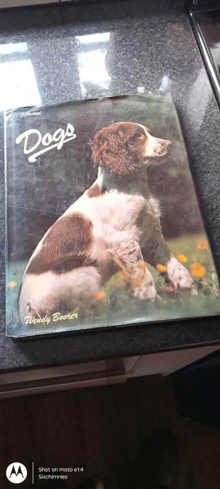 Photo of free Dog Book (Redmarley) #1