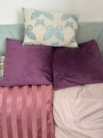 Photo of free Cushions (Craigentinny EH7) #1