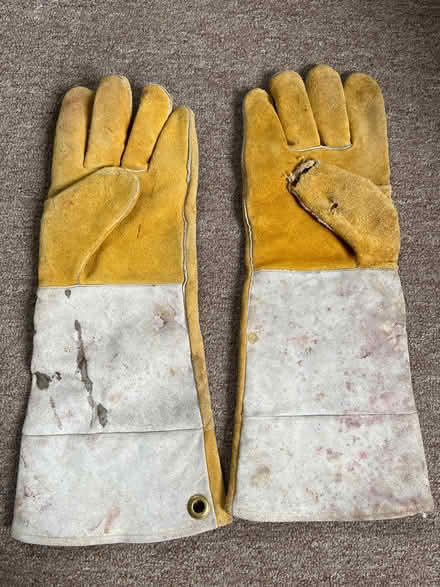 Photo of free Falconer Gloves (Medford-Fulton Heights) #3