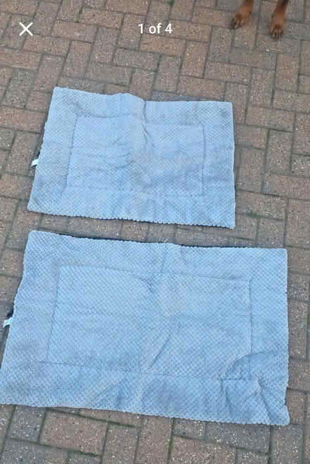 Photo of free 2 X padded dog beds (Ingoldisthorpe, PE31) #1