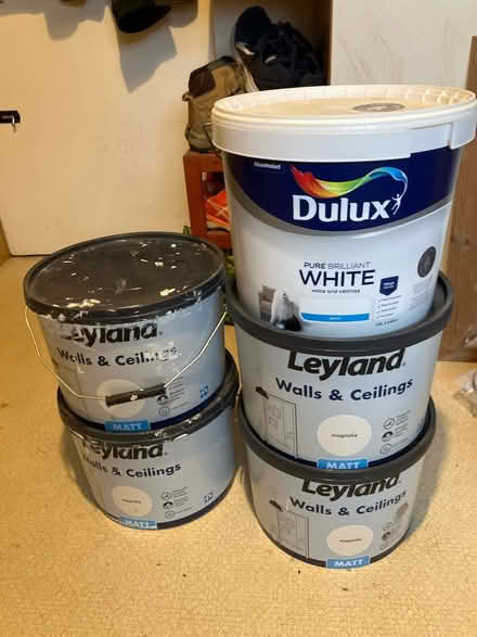 Photo of free Unused paint (Prudhoe area) #1