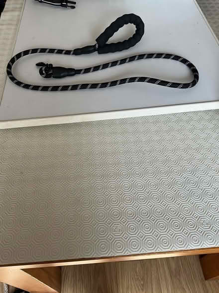 Photo of free Pet harness and lead (Spondon DE21) #2