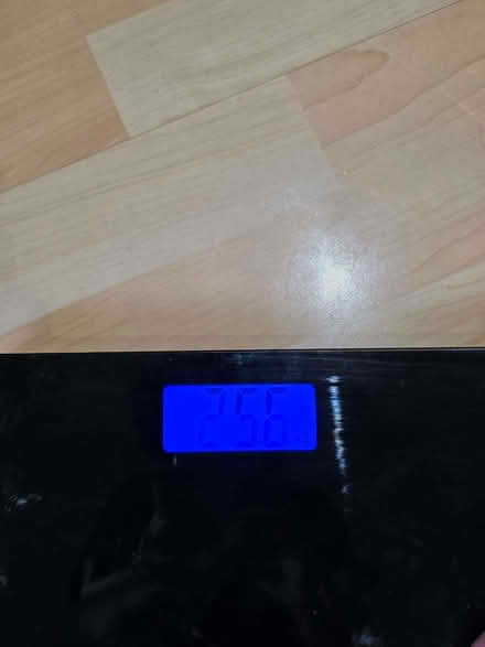 Photo of free Bathroom weight scale (Custom House E16) #2