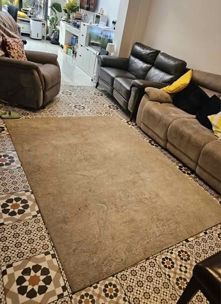 Photo of free Large Costco Rug (RG17 Reading) #1