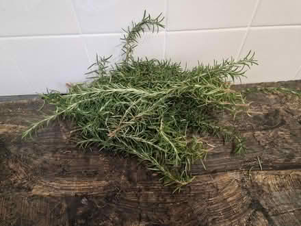 Photo of free Fresh rosemary (SW16, norbury) #1