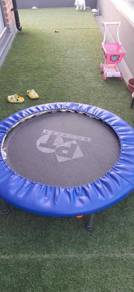 Photo of free Trampoline (Hayes end) #1