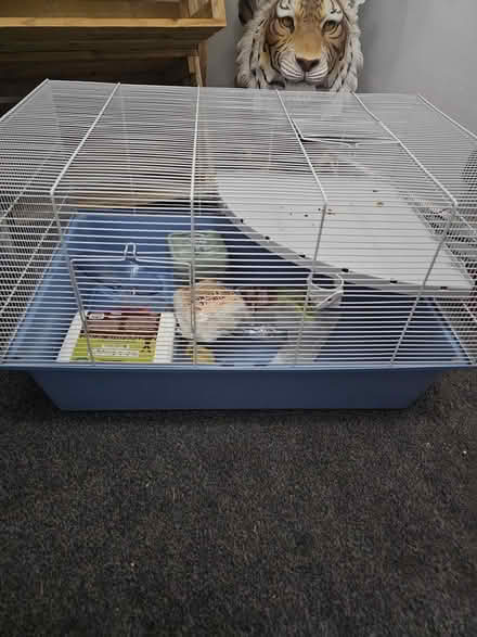 Photo of free Hamster cage (Devizes SN105SA) #1
