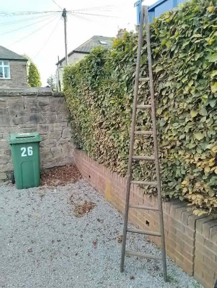 Photo of free Window cleaners ladder. (Ecclesall S11) #1