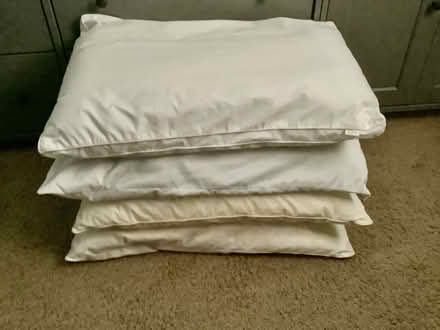 Photo of free 4 bed pillows (North Walnut Creek) #1