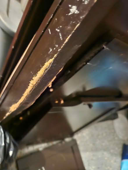 Photo of free Litter box cabinet (Frederick MD 21703) #3