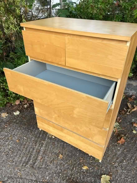 Photo of free Chest of drawers (East Finchley N2) #1