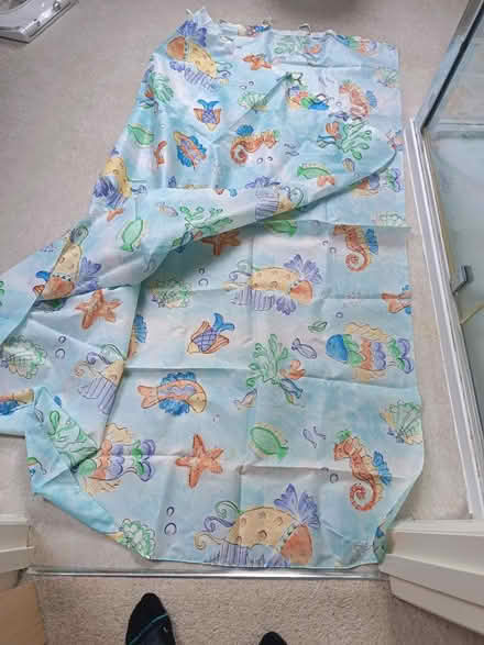 Photo of free Shower curtain with hoops (Widcombe, Bath BA2) #1