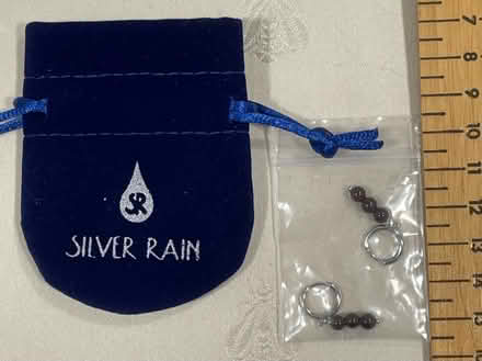 Photo of free Silver & Garnet Huggie Earrings (Dow’s Lake area) #2