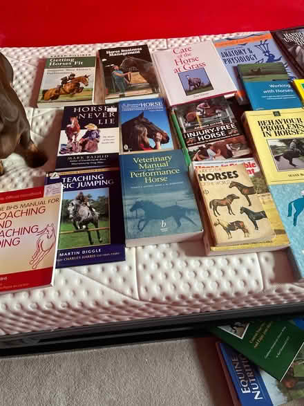 Photo of free Horse books. BHS , equine science (Haywards Heath RH16) #1