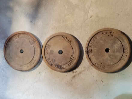 Photo of free 25 pound weights (Etobicoke) #2