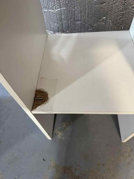 Photo of free Shoe Shelves (Lafayette) #2