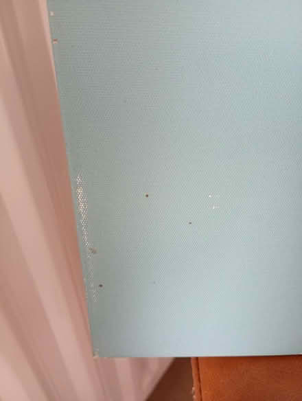 Photo of free Canvas of dog (Prestwood HP16) #2