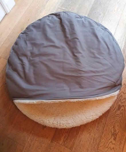 Photo of free Large dog bed (Twickenham TW2) #1