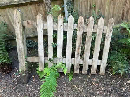 Photo of free Wooden picket Fence (Tunbridge Wells N. TN4) #1