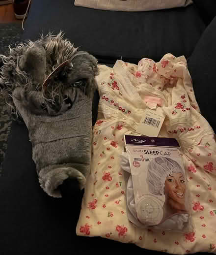Photo of free Big Bad Wolf Costume (Adams Morgan) #1