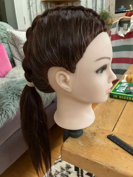 Photo of free Hairdressing model (head) (Pannal HG2) #3