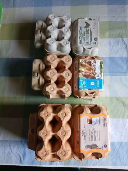 Photo of free Empty egg boxes (Bilton HG1) #1