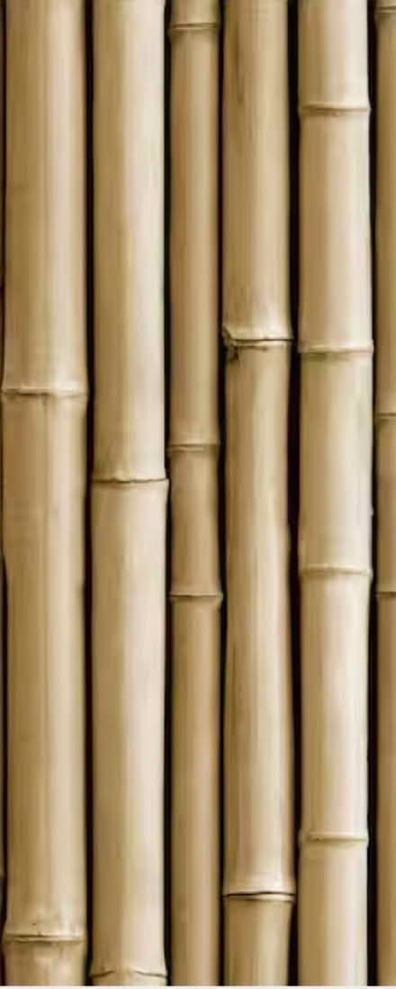 Photo of Bamboo Pole - Minimum 8 ft (Redwood City) #1