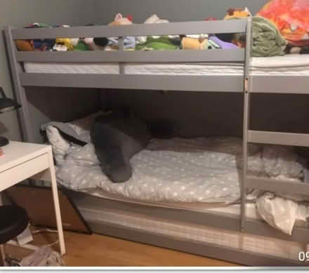 Photo of free Bunk beds (no mattress) (chingford E4) #3