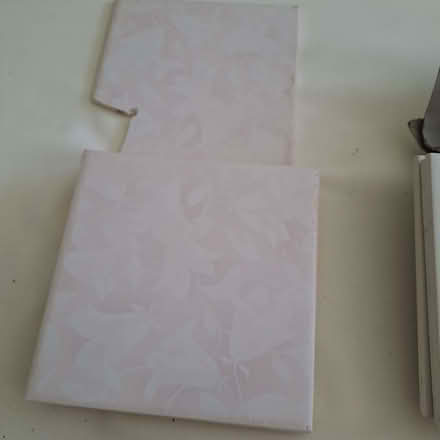 Photo of free Tiles (Rushcliffe NG2) #1
