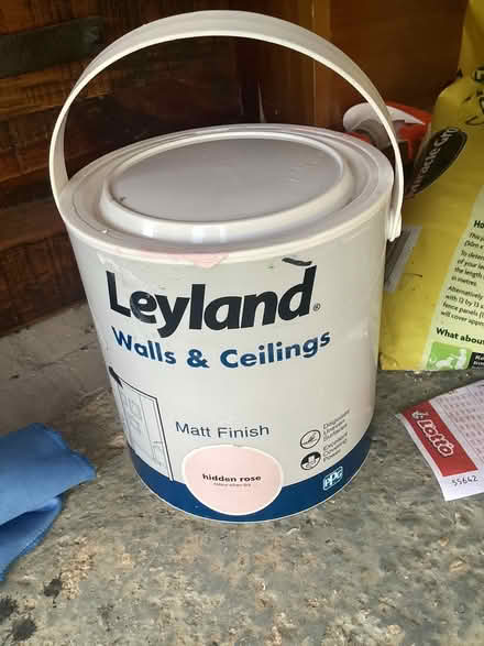 Photo of free Pink wall paint (Kidlington OX5) #1