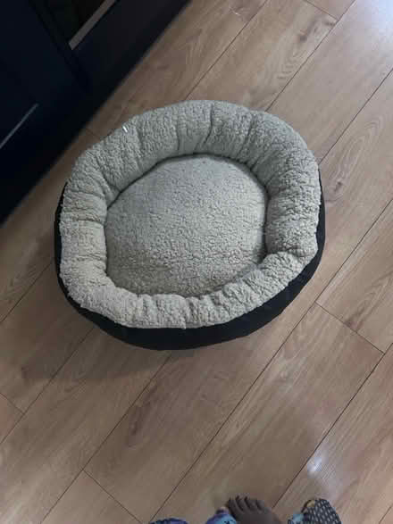 Photo of free Dog bed (Borehamwood, WD6) #1