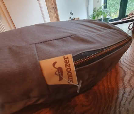 Photo of free Large dog bed (Twickenham TW2) #3