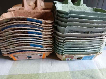 Photo of free Empty egg boxes (Bilton HG1) #2