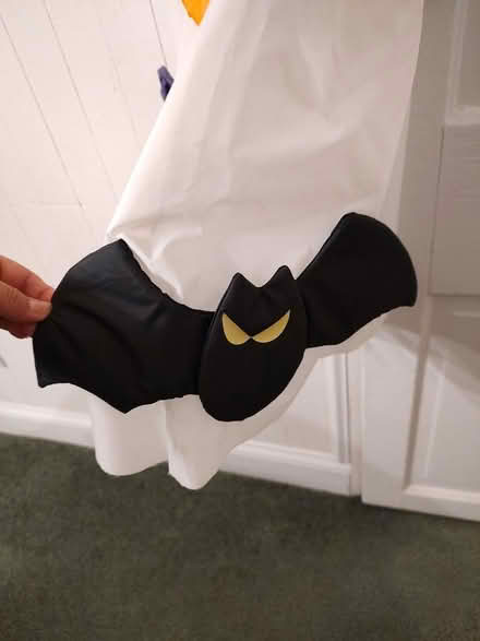 Photo of free Large Halloween wind sock (Odenton) #4