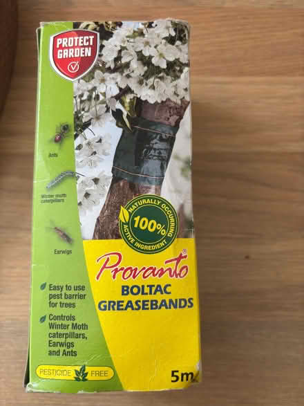Photo of free Garden pest greasebands (Holyport SL6) #1