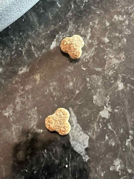 Photo of free James Wellbeloved Adult Dog Food (Hillmorton CV22) #2