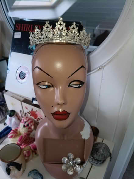 Photo of free Adult Tiara (manaquin not included (Barry) #1