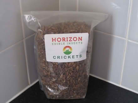 Photo of free Horizon Edible Dried Crickets 500g (Maidenhead SL6) #1