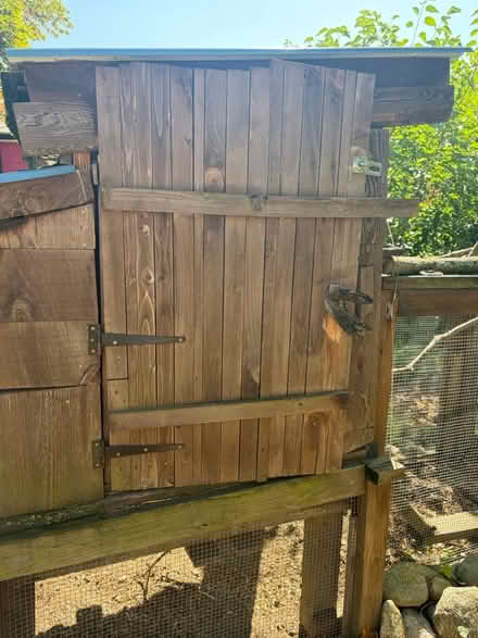 Photo of free Chicken coop (02476) #1