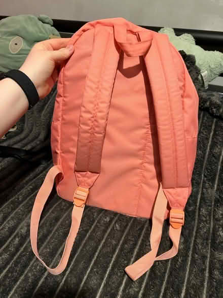 Photo of free Pink Backpack (Carlisle CA2) #2