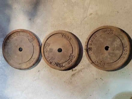 Photo of free 25 pound weights (Etobicoke) #1