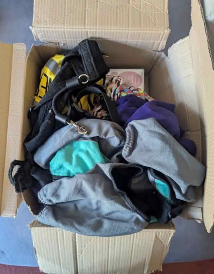 Photo of free Dog leads, jumpers, toys, etc (Beeston - LS11) #1