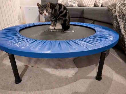 Photo of free Mini trampoline (Endmoor LA8) #2