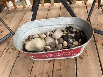 Photo of free Bucket of small rocks (Midtown Toronto) #1