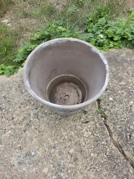 Photo of free Flower pot (Penge SE20) #2