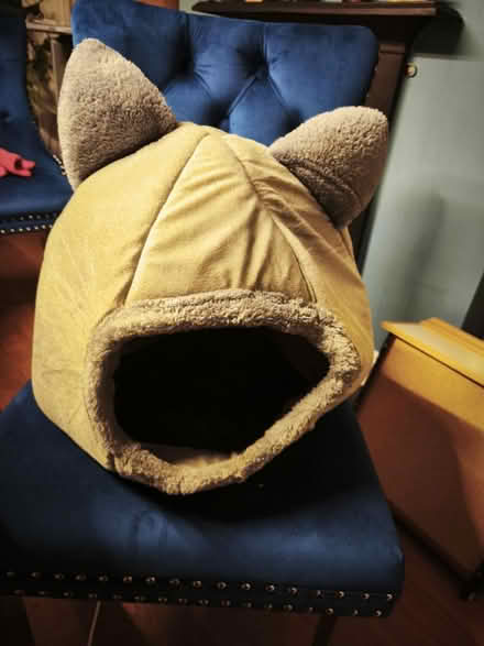 Photo of free Cat igloo bed (CR0) #1