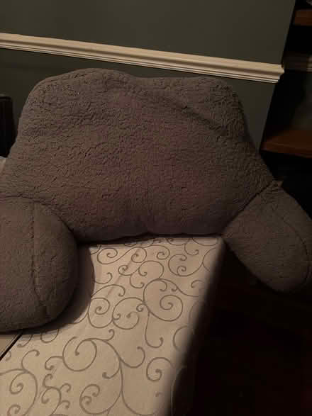 Photo of free Dark grey cuddle cushion (NG9 7GN) #1