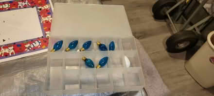 Photo of free Plastic box with lightbulbs (Woodridge) #1