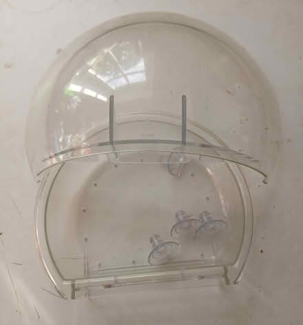 Photo of free window bird feeder (Westcott, near Dorking, Surrey) #1