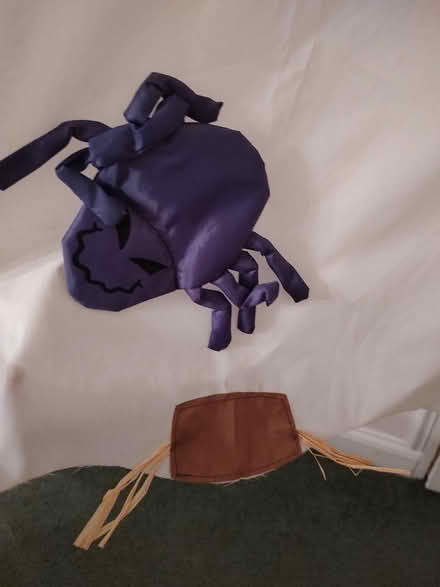 Photo of free Large Halloween wind sock (Odenton) #3